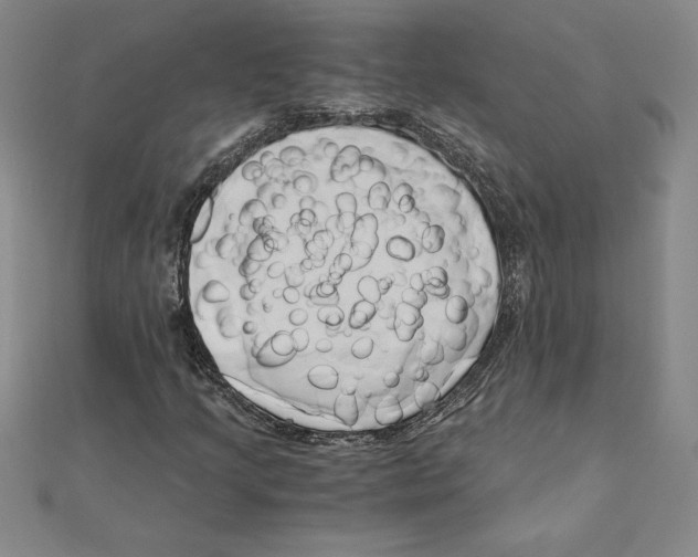 X0000110321205200906181816