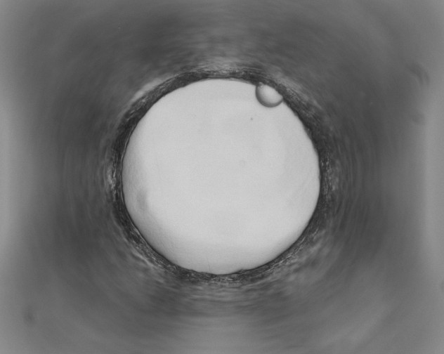 X0000110321206200906181816