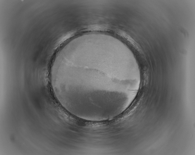 X0000110321213200906181816