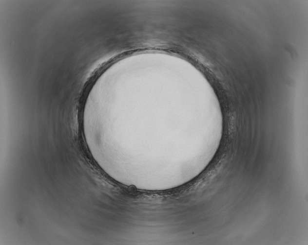 X0000110321214200906181816