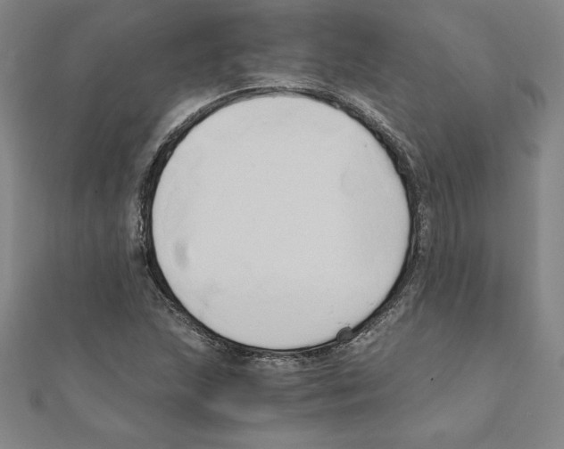 X0000110321215200906181816