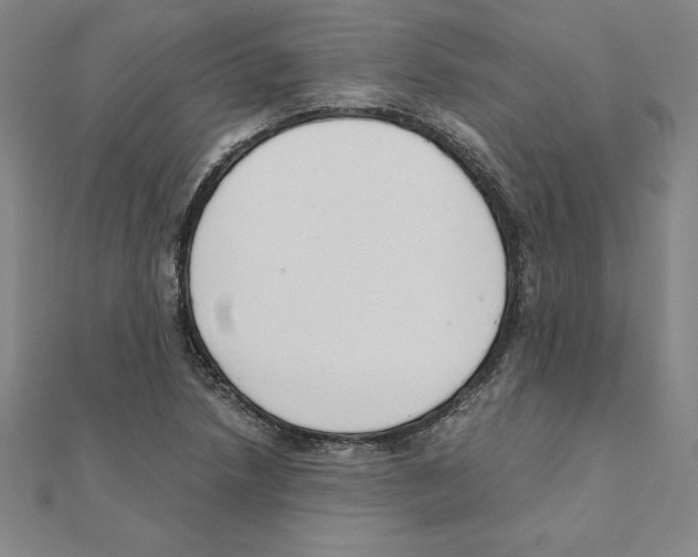 X0000110321218200906181816