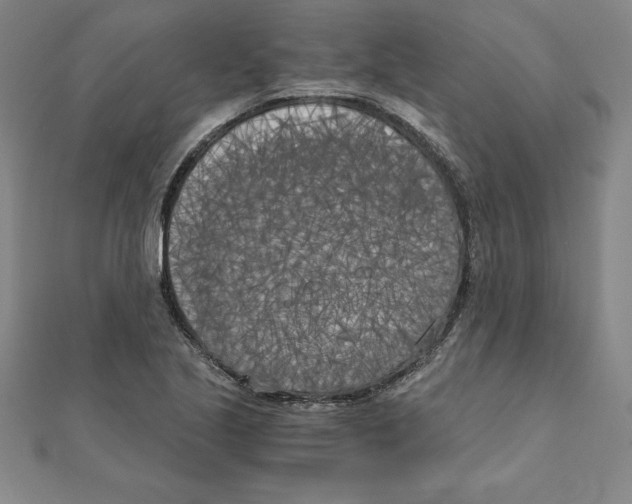 X0000110321221200906181816