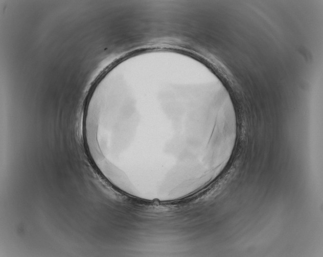 X0000110321224200906181816