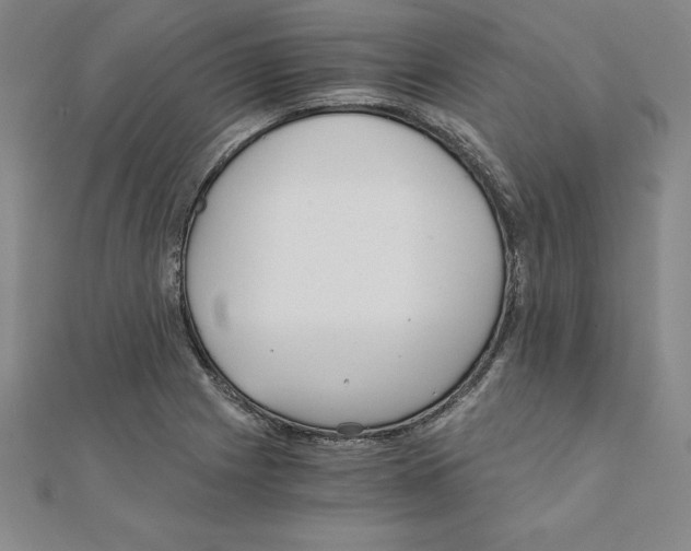 X0000110321225200906181816