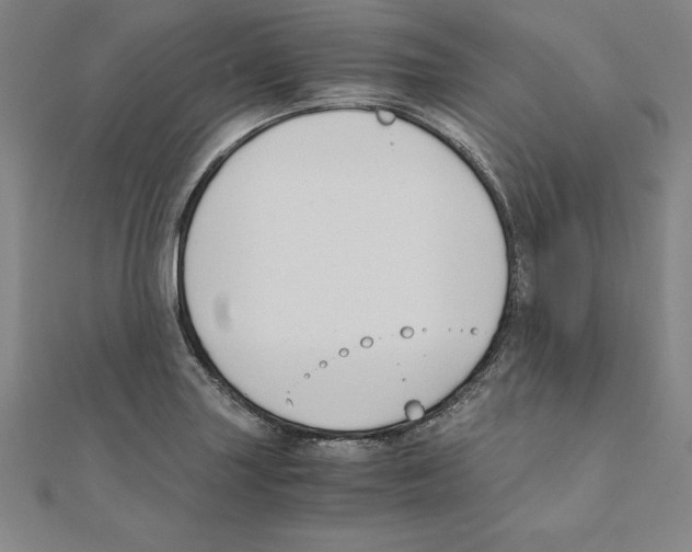 X0000110321227200906181816