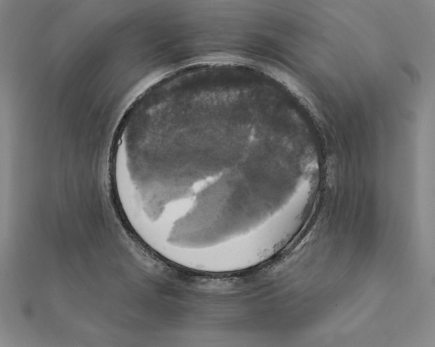 X0000110321229200906181816