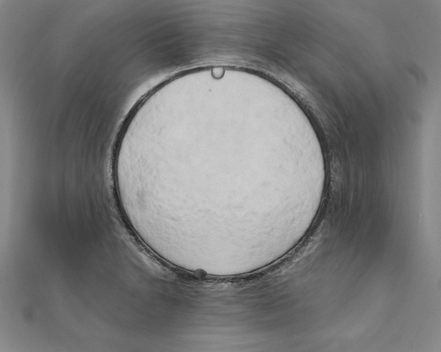 X0000110321230200906181817