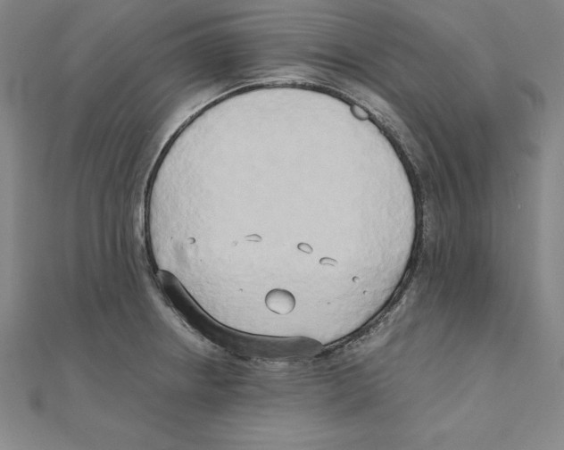 X0000110321234200906181817