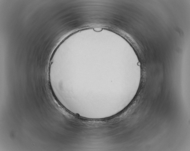 X0000110321236200906181817