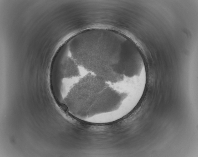 X0000110321237200906181817