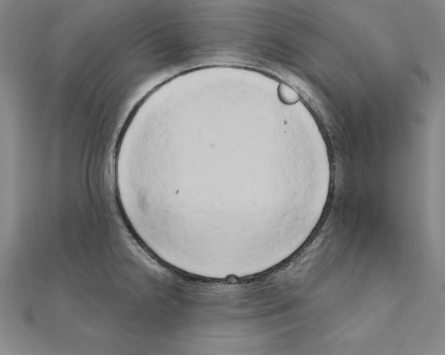 X0000110321238200906181817