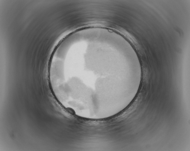 X0000110321240200906181817