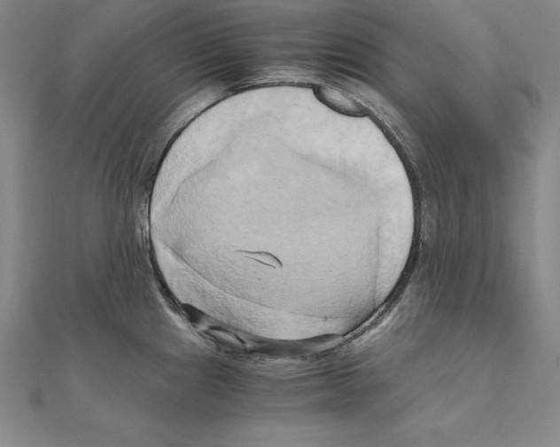 X0000110321241200906181817