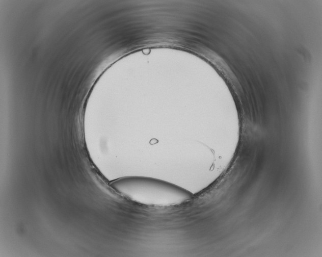 X0000110321242200906181817