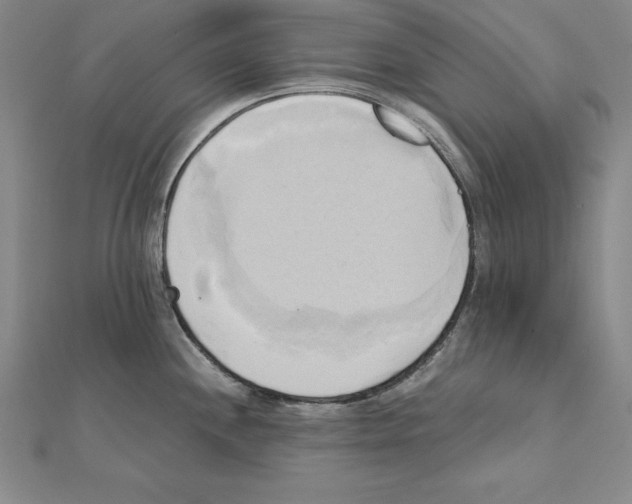 X0000110321244200906181817