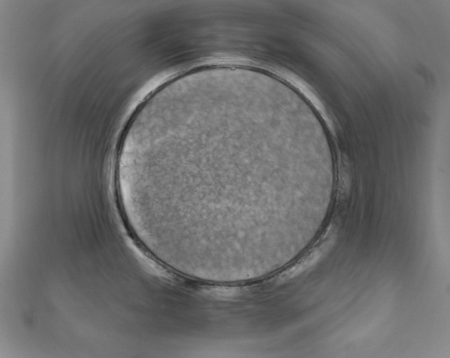 X0000110321245200906181817