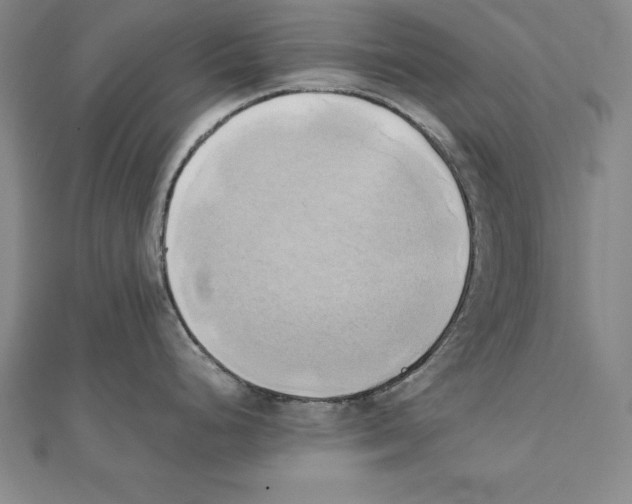 X0000110321248200906181817