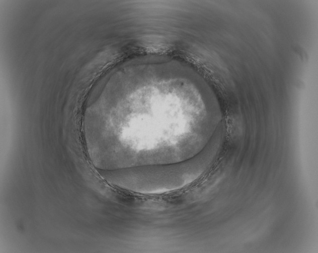 X0000110321249200906181816