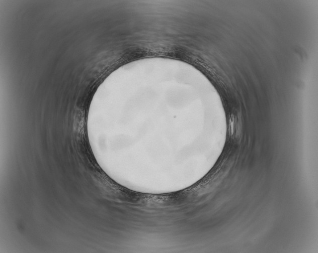 X0000110321251200906181816