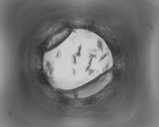 X0000110321253200906181816