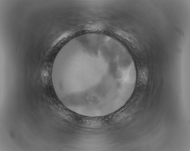 X0000110321254200906181816