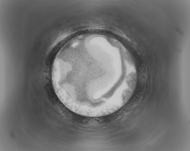 X0000110321255200906181816