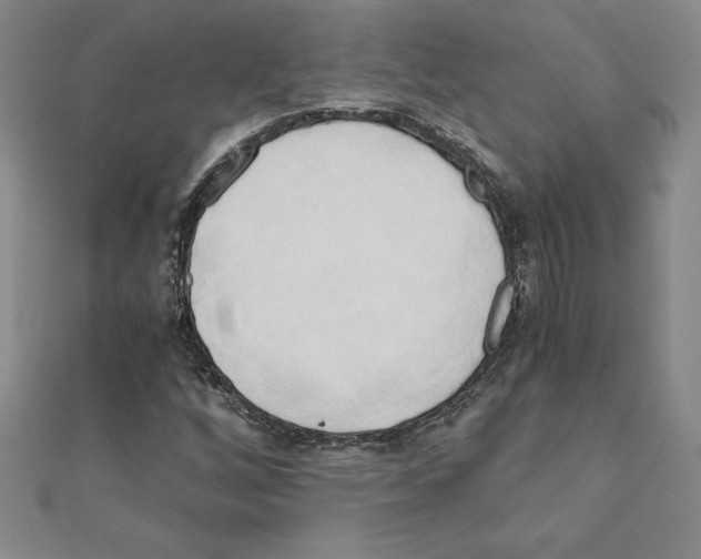 X0000110321256200906181816