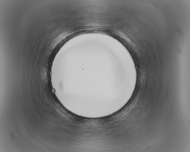 X0000110321259200906181816