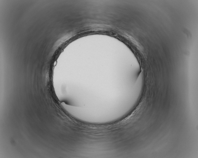 X0000110321261200906181816