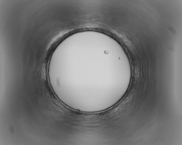 X0000110321262200906181816