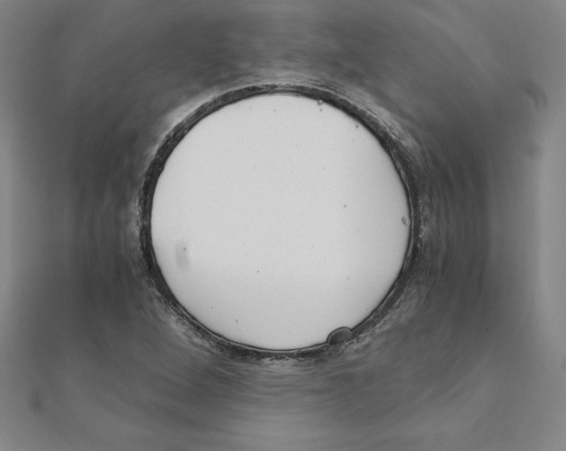 X0000110321264200906181816