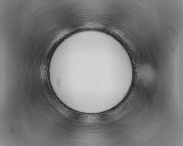 X0000110321266200906181816