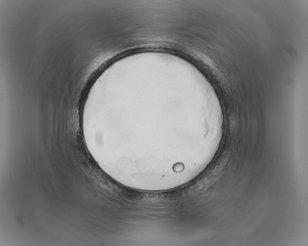 X0000110321267200906181816