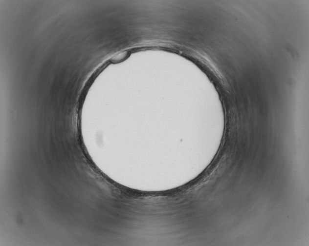 X0000110321268200906181816