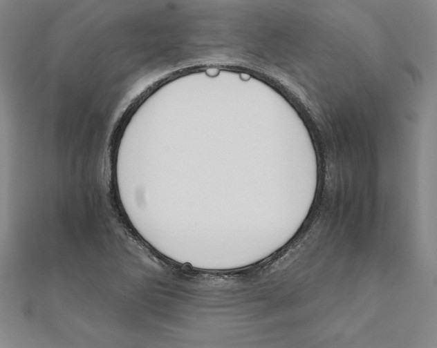 X0000110321270200906181816