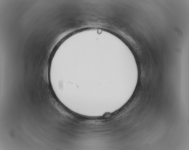 X0000110321272200906181816