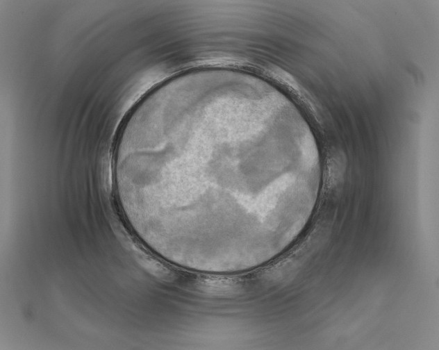 X0000110321274200906181816