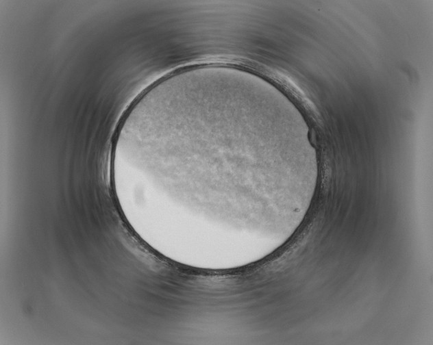 X0000110321276200906181816