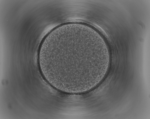 X0000110321277200906181816