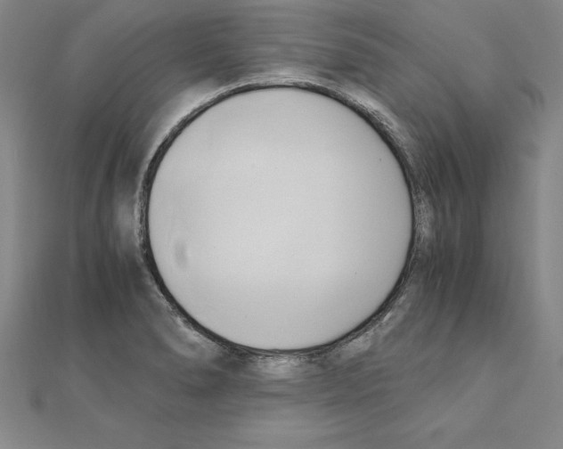 X0000110321278200906181816