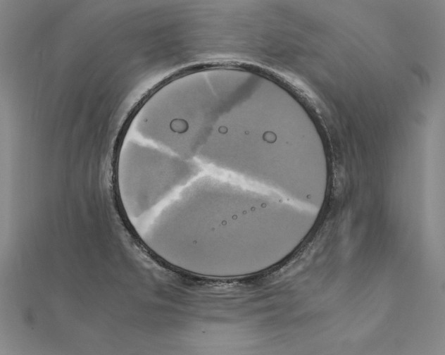 X0000110321279200906181816