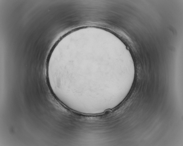 X0000110321280200906181816