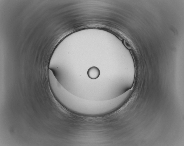 X0000110321281200906181816