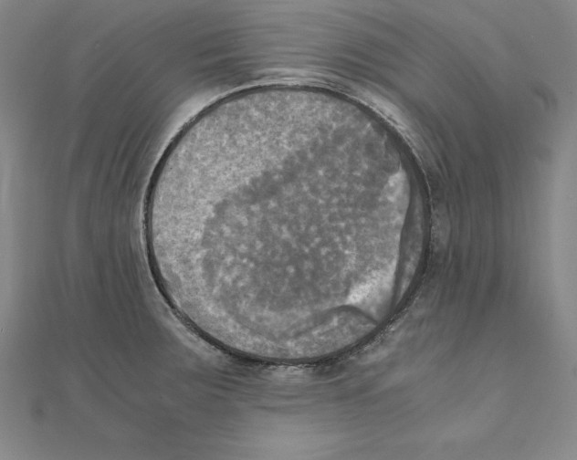 X0000110321283200906181816