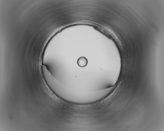 X0000110321284200906181816