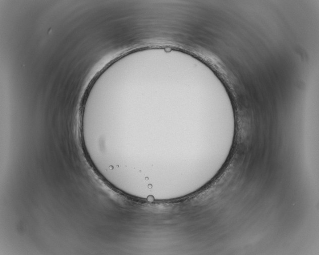 X0000110321286200906181816