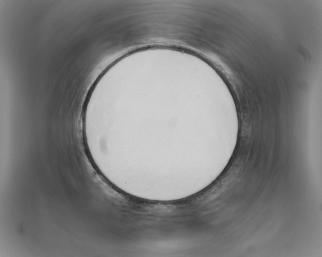 X0000110321287200906181816