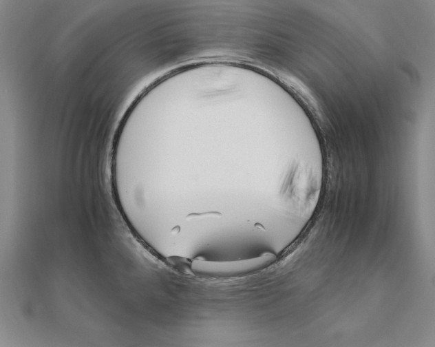 X0000110321288200906181816