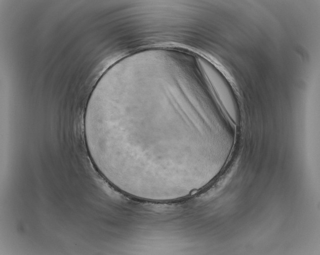 X0000110321289200906181816